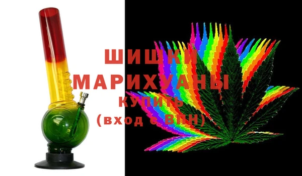 винт Лагань
