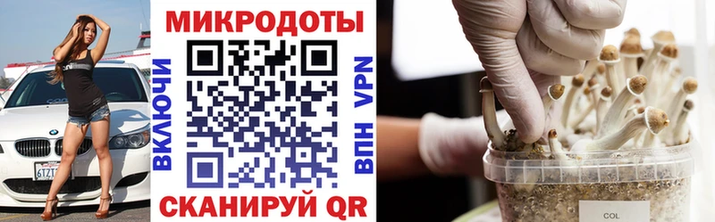 Купить где  Воскресенск  Псилоцибиновые грибы мицелий 
